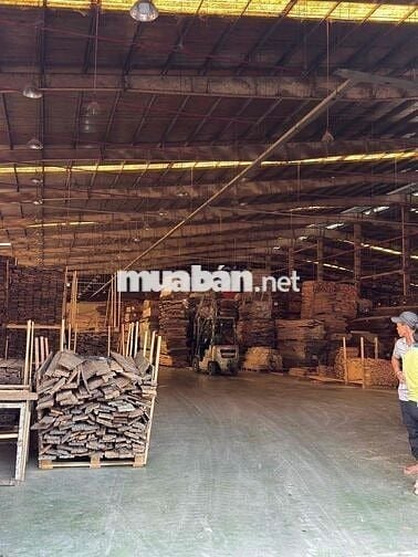 Bán hoặc cho thuê xưởng TRONG KCN TÂN UYÊN – TP. HỒ CHÍ MINH (Dự kiến