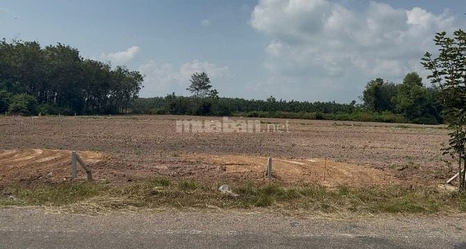 ĐẤT TẠI TP.HCM VIEW HỒ_5X50, THỔ CƯ 100M2