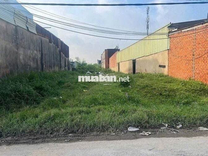 Bán gấp đất 179m2 1tỷ2 đường Tỉnh Lộ 7 gần ngã tư Phước Thạnh Củ Chi