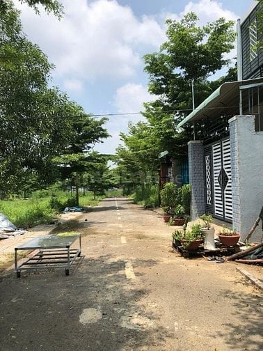 Bán đất giá rẻ 117.9m² Sông Trầu, Trảng Bom Đường 6m ô tô, sổ riêng