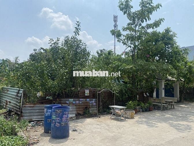 BÁN ĐẤT THỔ 1040M2,TX 25 QUẬN 12 ,36 TỶ