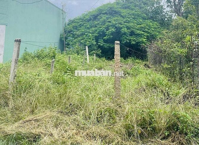 Tôi cần bán 5x22m thổ ấp Bình Tiền 1-DHH, giá 590tr Tl/SHR,ô tô ra vào