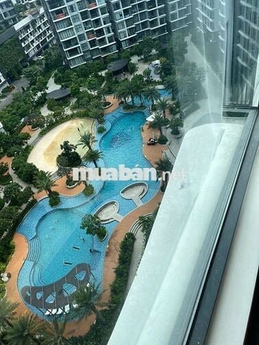 Cho thuê nhanh căn hộ cao cấp Diamond Centery - Celadon City . Ở liền