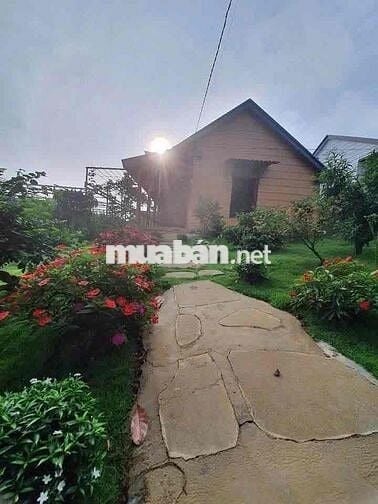 Bán gấp  Nhà vườn 200m² đẹp như resort, P.2 Bảo Lộc giá 490triệu