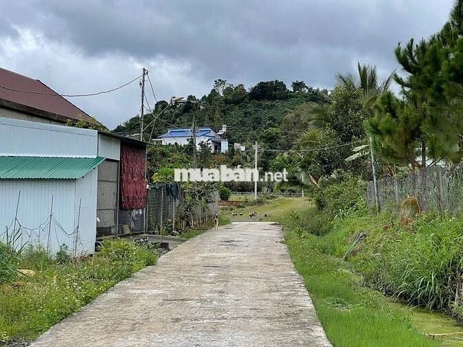 Đất Bảo Lộc - 2214m2 (20x100m) Sẵn 118m thổ cư - view núi Sà Pung