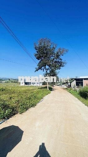 ĐẤT GIA LÂM , LÂM HÀ , LÂM ĐỒNG GIÁ CHỈ 750tr KHU VILLA ,HOMESTAY