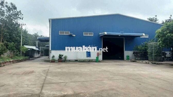 Xưởng chuyên sản xuất gỗ, đất 1ha, xưởng 2000m, giá 75 triệu