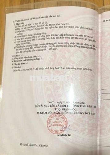 ĐẤT NGHỈ DƯỠNG PHƯỜNG PHÚ TÂN BẾN TRE