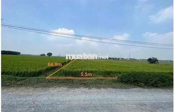 NH Thanh Lý đất tại Hoà Thuận, Hiệp Hoà, Đức Hòa, Long An. giá 1.045
