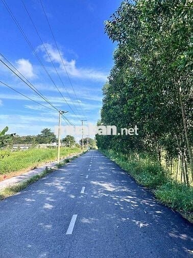 Cần bán 9 lô đất ngay An Viễn Trảng Bom, 1 sẹt đường Nguyễn Hoàng