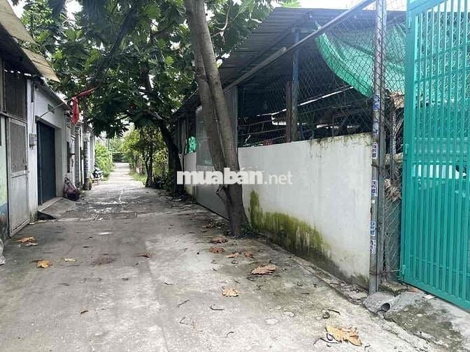 SIÊU HIẾM-RỘNG ĐẸP RẼ Ở NGAY-BÁN NHÀ 52m2 -VƯỜN LÀI-THẠNH LỘC-Q.12