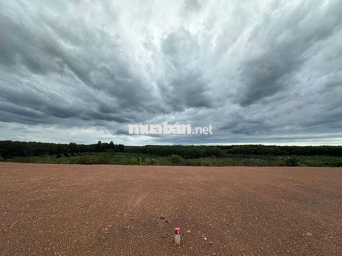 Bán đất đường xuyên tâm 1000m2(25x40) sẵn 500mTC giá 880tr Bình Phước