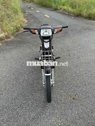 Honda Super Dream màu Nâu