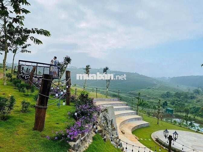 Đất View Hồ Tảo Hồng Trên Đồi Chè Ngay Khu Du Lịch lớn.