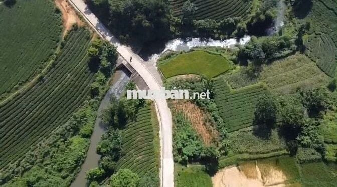 Cần bán gấp lô đất tâm huyết xây nghỉ dưỡng View suối tự nhiên