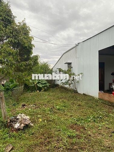 BÁN GẤP LÔ ĐẤT 135M2 - THỔ CƯ 80M2 - NGAY TRUNG TÂM BẢO LỘC