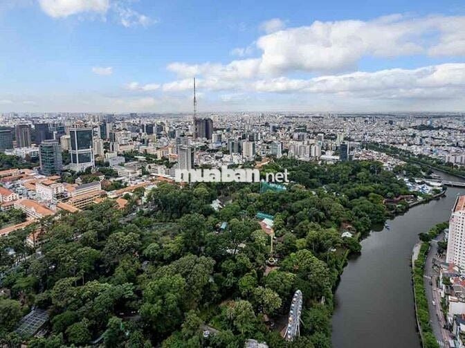 Cho Thuê Căn Hộ 3 Phòng Ngủ View Đẹp