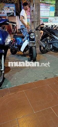 Honda Chaly Xanh dương