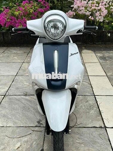 Yamaha Janus 2018 màu Trắng bs79