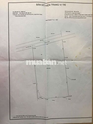 LÔ ĐẤT Mặt Tiền Đường Ông Niệm 1, Xã Phong Phú, Bình Chánh,Hồ Chí Minh