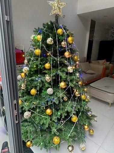 Cần bán cây thông trang trí noen cao 2m