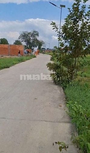 💵Đất Đức hòa 5x20 hẻm xe hơi 