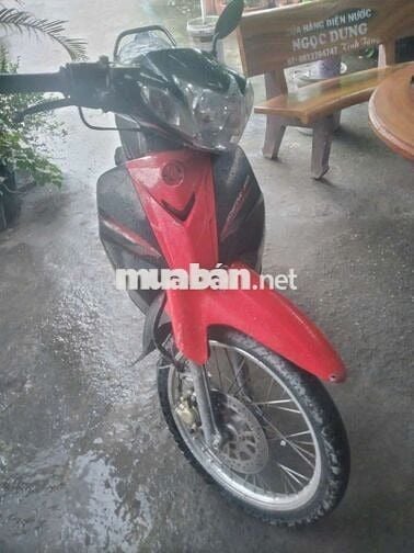 Ket tiên cân ban gap