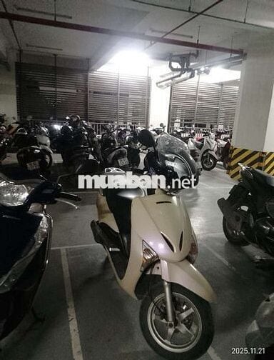 Honda Lead 2011 màu Kem