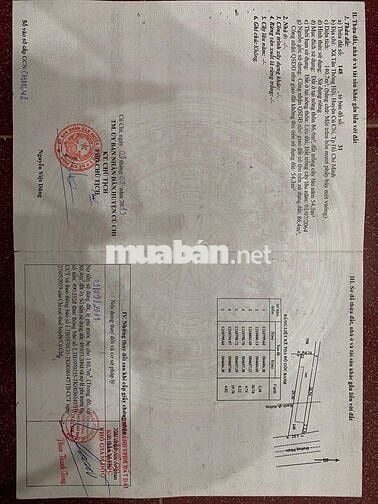 Bán mảnh đất cạnh Nước mía Vườn cau Củ Chi 140m2(5x28)m SHR Giá 1tỷ2
