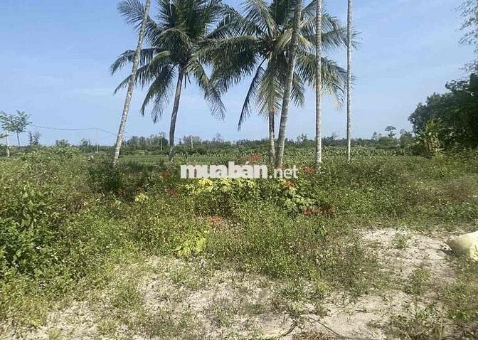 lô Đất đẹp diện tích lớn view lúa xã Bình Giang, Thăng Bình