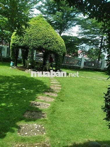 Cho thuê Phòng gần DHCN /Chợ Gò Vấp