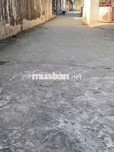 Bán đất thôn Yên Nhân, Tiền Phong, Mê Linh. Lô góc, 3 bước chân tới