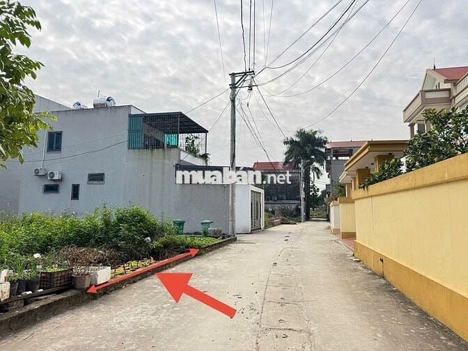 Đất đẹp tổ 9, TT Quang Minh (cũ), nay là thôn Ấp Tre, xã Quang Minh.