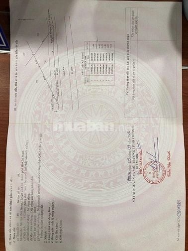 Bán một căn nhà tiện làm kho, xưởng may nhỏ hoặc gia đình đông người ở