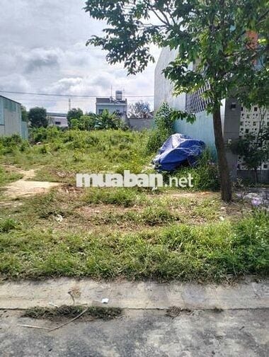 Tôi cần bán gấp 5x26m/SHR thổ cư Nguyễn Văn Dương,sau trường cấp 3.