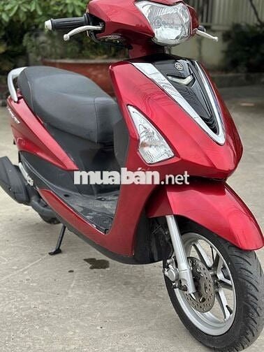 Yamaha Acruzo 2016 bstp zin êm