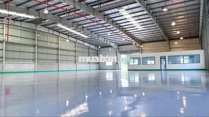 KHO XƯỞNG ĐẸP ( 1.680m2 ) CONTAIENR 24/24