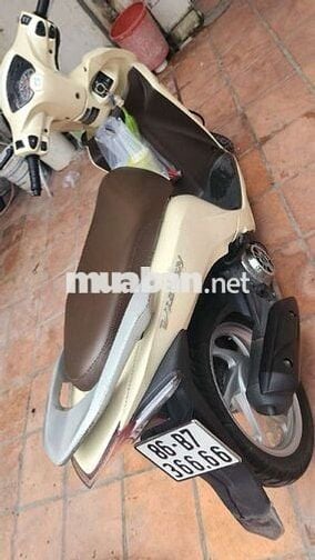 Xe vision của nhà