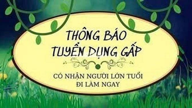 Cần gấp LĐPT. Làm việc ổn định.Có cccd gốc nhận việc liền