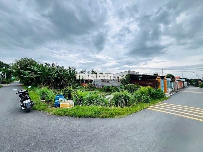 KẸT VIỆC BÁN GẤP LÔ ĐẤT 2MT – 295M² – TÂN THÔNG HỘI – CHỈ 420 TRIỆU 🔥