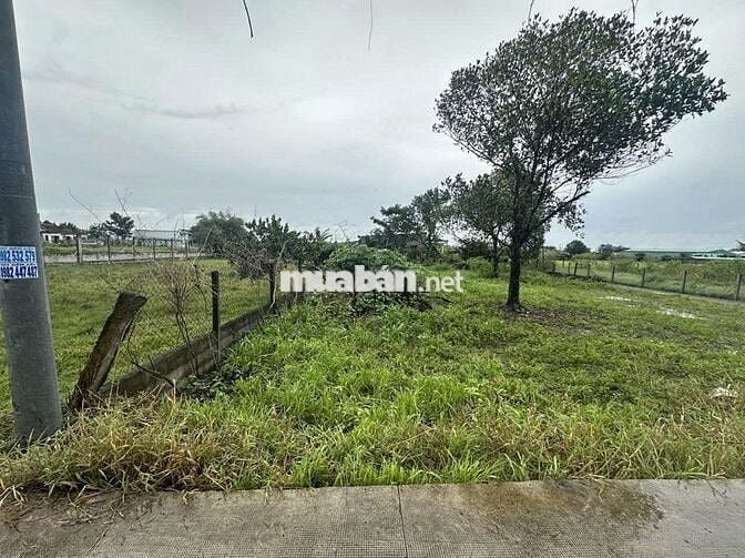 Bán đất rẻ xã Hoà Khánh Tây (Đức Hoà Long An cũ)