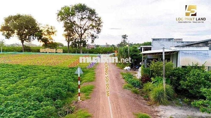 Đất Nền Giá Rẻ Dương Minh Châu Tây Ninh