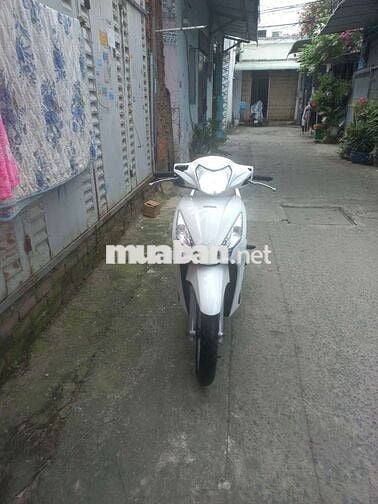 Vision cuối 2016 cọp bstp