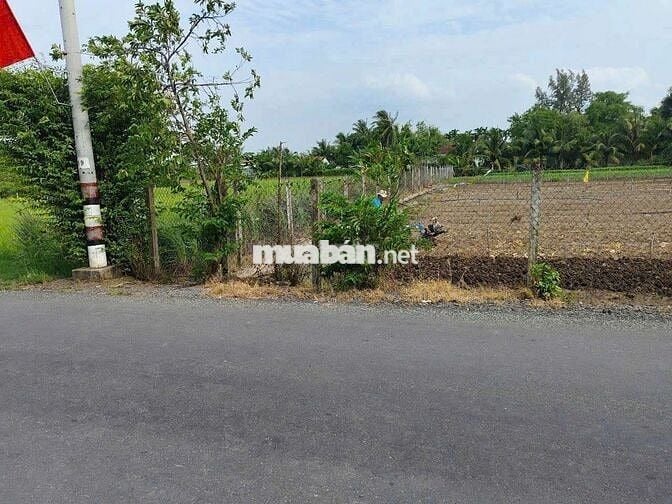 Chính chủ cần bán gấp đất mặt tiền liên xã