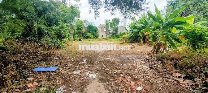 Đất thổ cư 1/Tân Hiệp 18-Hóc Môn.Dt 18x45~738m2 có 491m2 thổ cư~9ty