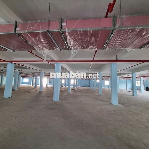 Cho thuê kho xưởng KCN Hải Sơn,Tân Đô , Tân Đức, Long An, PCCC tự động