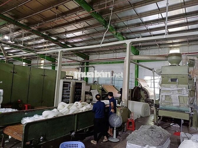 Cho thuê kho xưởng 7.000m2, KCN Hải Sơn , Tân Đức , Tân Đô , Long An