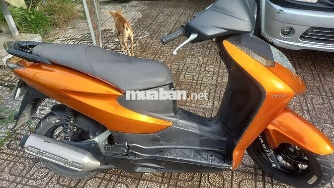 Honda Dylan màu Cam