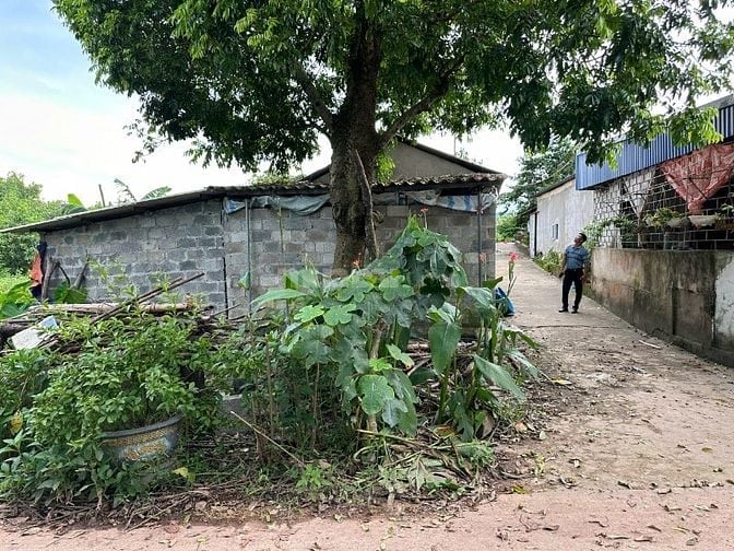  Đất rẻ tại Xóm Đồi Chè, Xã Phúc Trìu (Cũ), T.Thái Nguyên