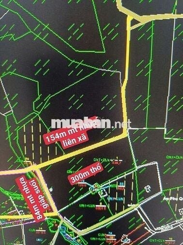Cân bán 10.503m2 đất Hòa hiệp, huyện xuyên mộc tỉnh bà Rịa-Vũng tàu